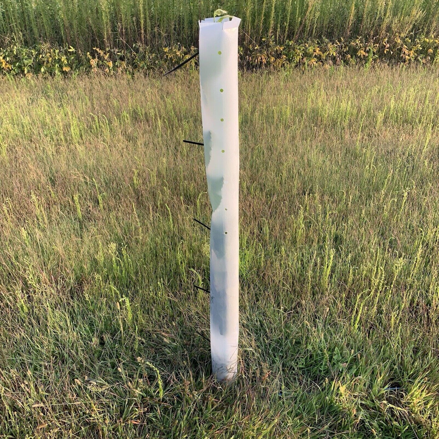 (10) 60" TREE PRO TUBES SHELTER MIRACLE PROTECTORS, Full-Open for Mgmt.-USA Made