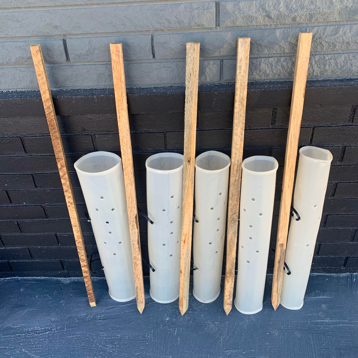 10-24" (2 Ft) Miracle Rapid Tree Growth Tube & Deer-Wildlife Protection w/ 36" (3 ft) Treated Stakes