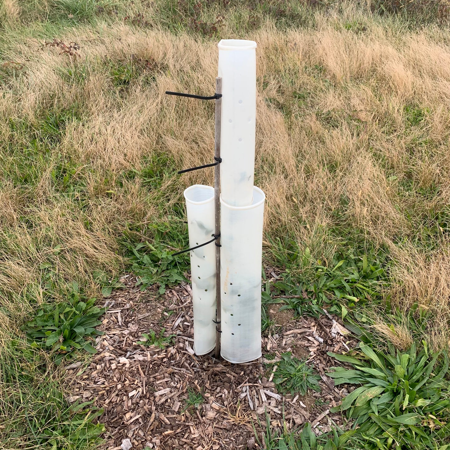 (5) 12"-72" MIRACLE TUBES (Non-Split) TREE PRO SHELTER PROTECTOR-Not Split-USA Made