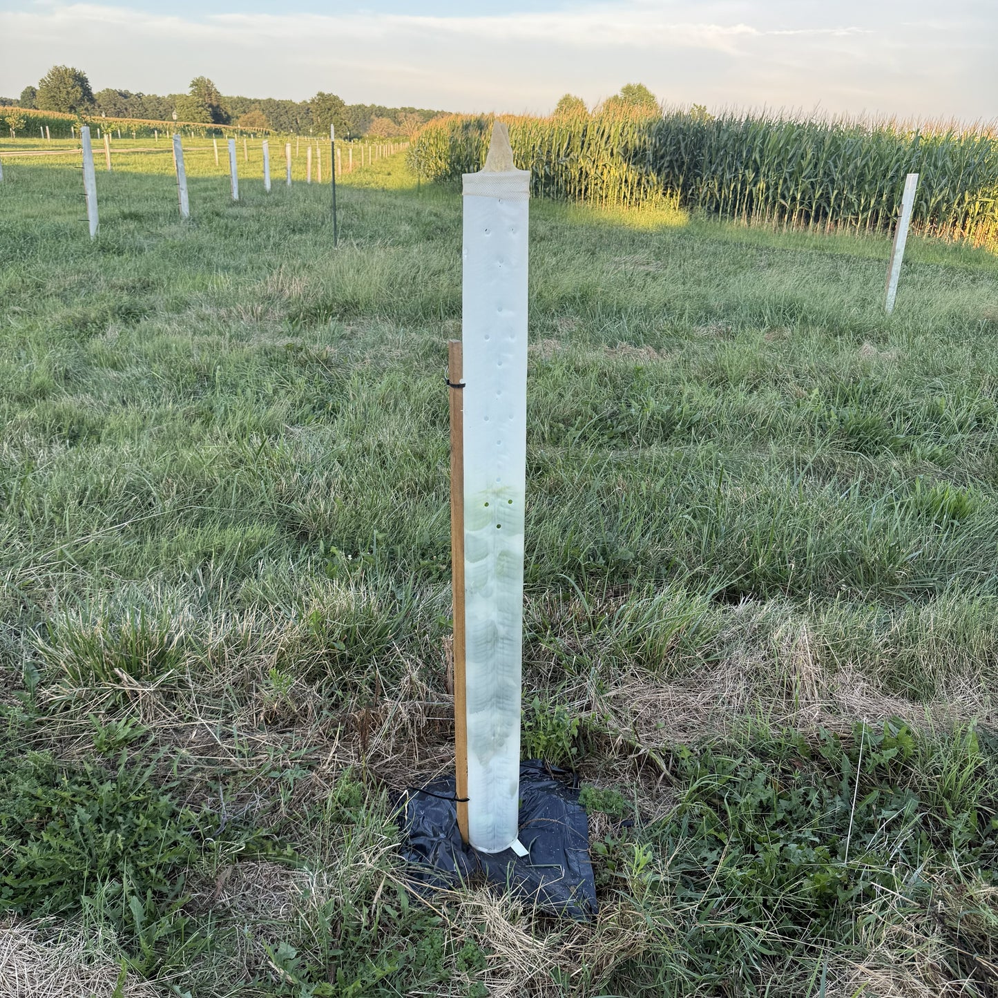 (5) 12"-72" MIRACLE TUBES (Non-Split) TREE PRO SHELTER PROTECTOR-Not Split-USA Made