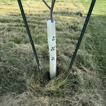 (5) 12"-60" BarkPro Tree Pro Tree Protector Tubes - Deer Rub, Rabbits & Weed-Eaters