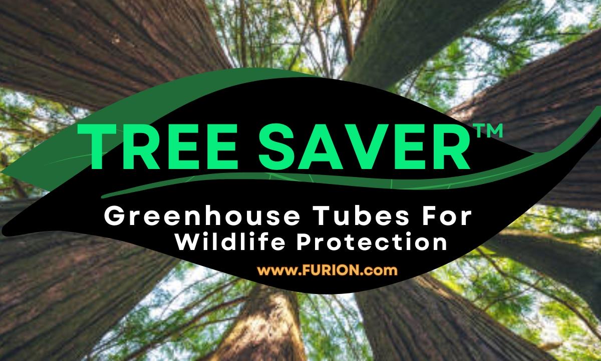 1 Paw Paw Tree & Free 24” Tree Greenhouse Tube- only Organic Pesticides Used, in 5.5” root pot, 1 year old size will vary from  6-9”!