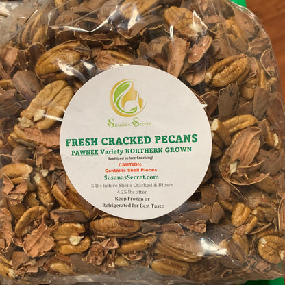 5 lbs Mammoth Pecans: Small Farm Raised, Fresh Cracked Northern-Pawnee variety Free Shipping