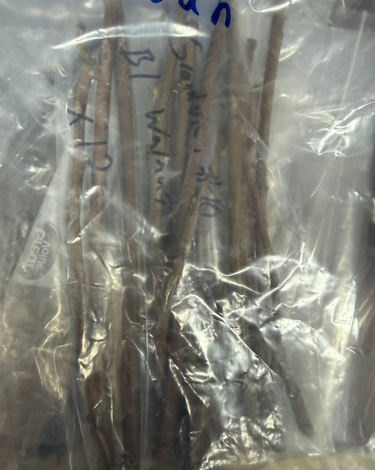 Black Walnut-Grafting Scion-1 Stick