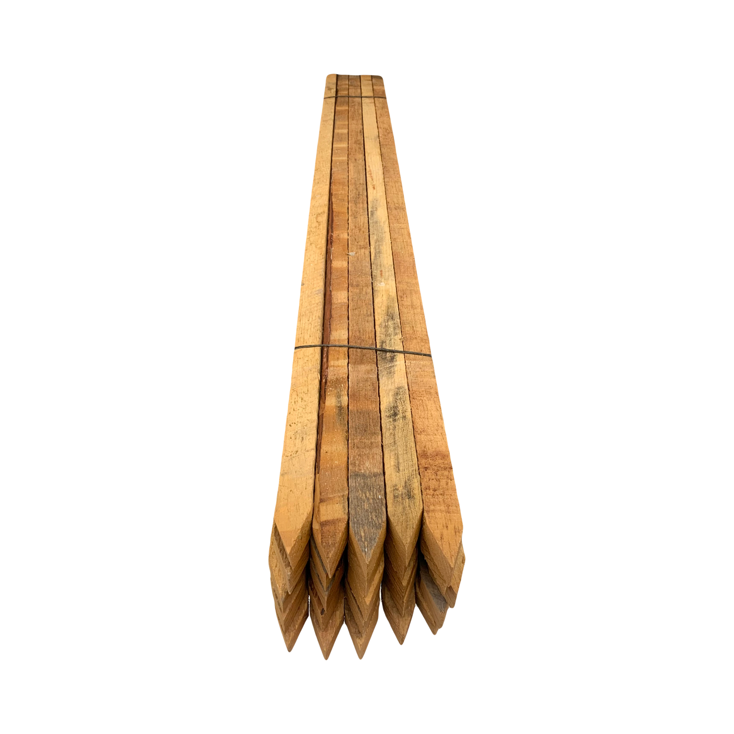 25-60” (5 ft) Tree Stakes Pressure Treated for Long Life