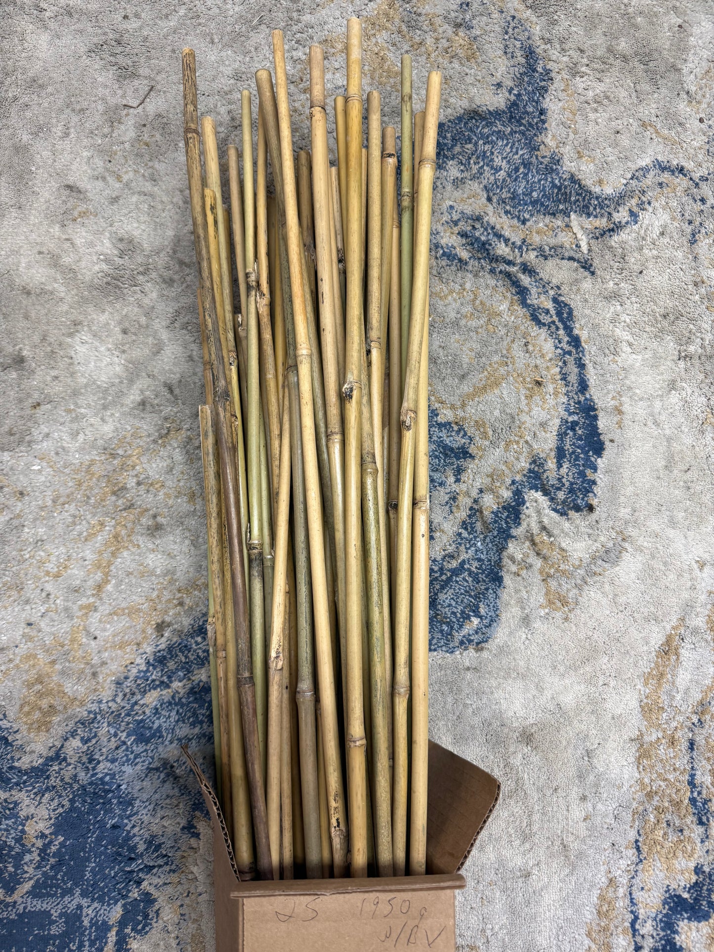 Bamboo Stakes