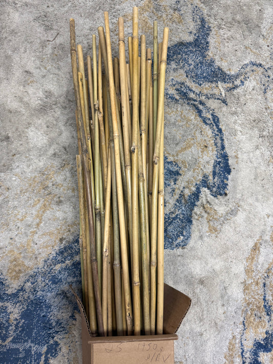 Bamboo Stakes