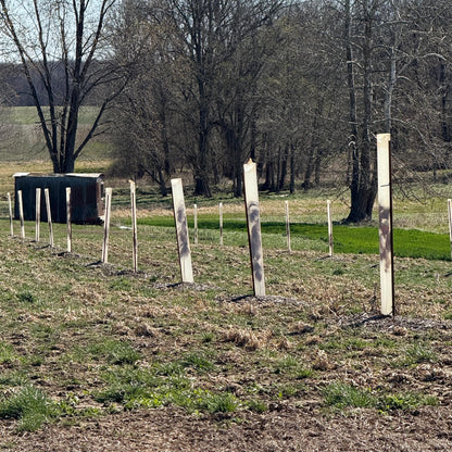 5-60" Miracle Greenhouse Tree Tubes & Treated Pine Stakes- Grow 2x-3x faster and protect from Deer, Rabbits and other Wildlife! FREE SHIPPING