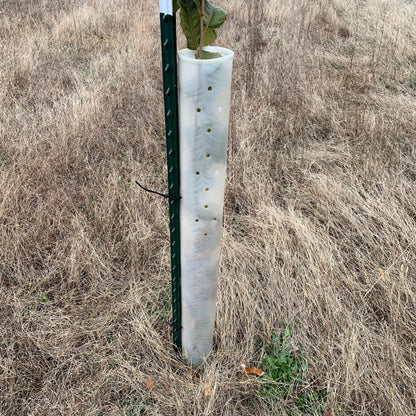 5-60" Miracle Greenhouse Tree Tubes & Treated Pine Stakes- Grow 2x-3x faster and protect from Deer, Rabbits and other Wildlife! FREE SHIPPING