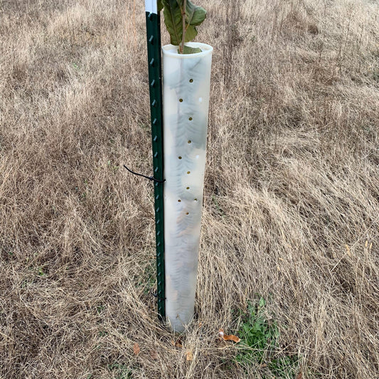 5-60" Miracle Greenhouse Tree Tubes & Treated Pine Stakes- Grow 2x-3x faster and protect from Deer, Rabbits and other Wildlife! FREE SHIPPING
