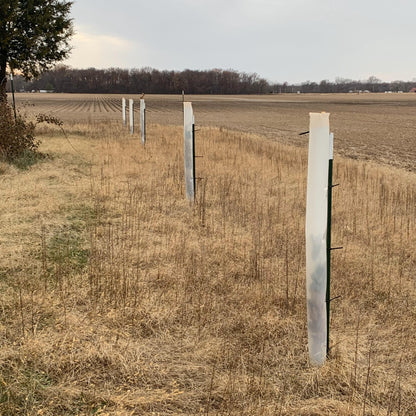5-60" Miracle Greenhouse Tree Tubes & Treated Pine Stakes- Grow 2x-3x faster and protect from Deer, Rabbits and other Wildlife! FREE SHIPPING