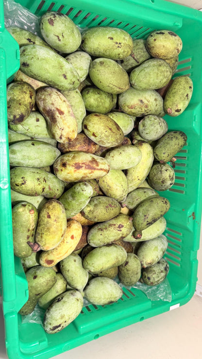 Fresh Paw Paw Fruit from a grafted Orchard of the Best Tasting types! Ships 2 day Air