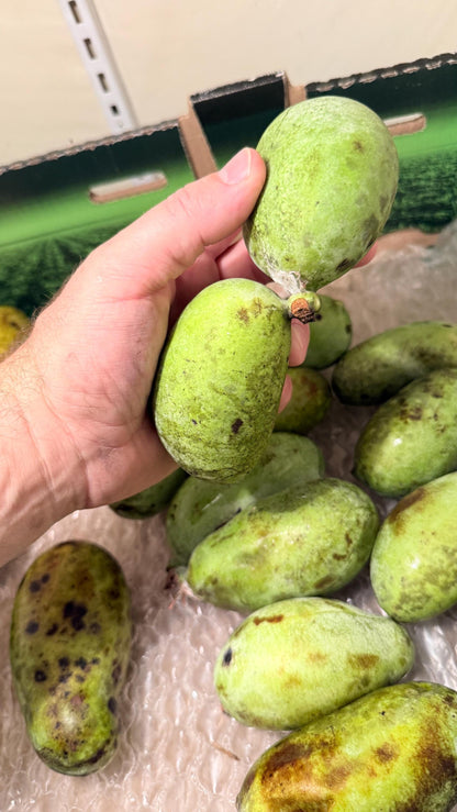 Fresh Paw Paw Fruit from a grafted Orchard of the Best Tasting types! Ships 2 day Air